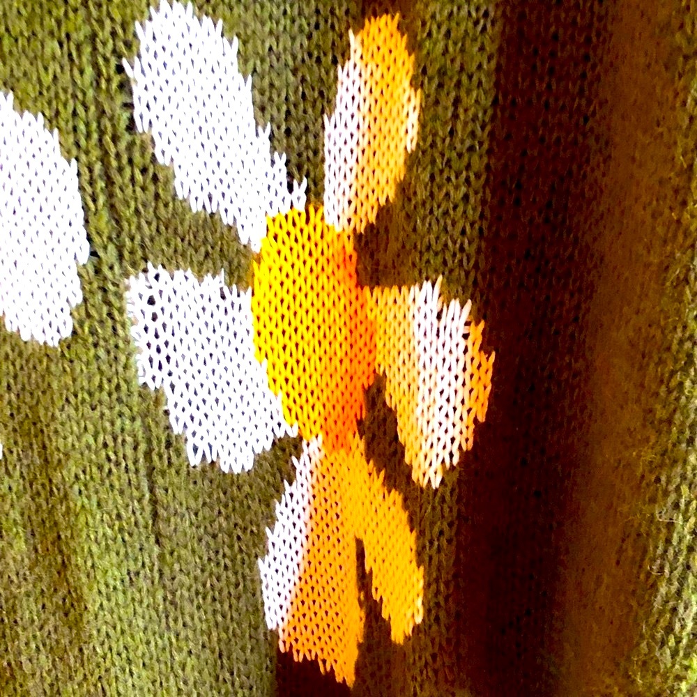Wild Fox Hooded and fringed Sweater Poncho with Daisies NWOT - Picture 6 of 8